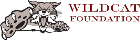 wild cat foundation